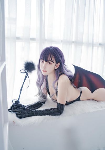 警花系列
