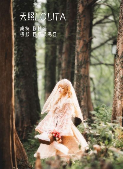 情满九道弯剧情简介